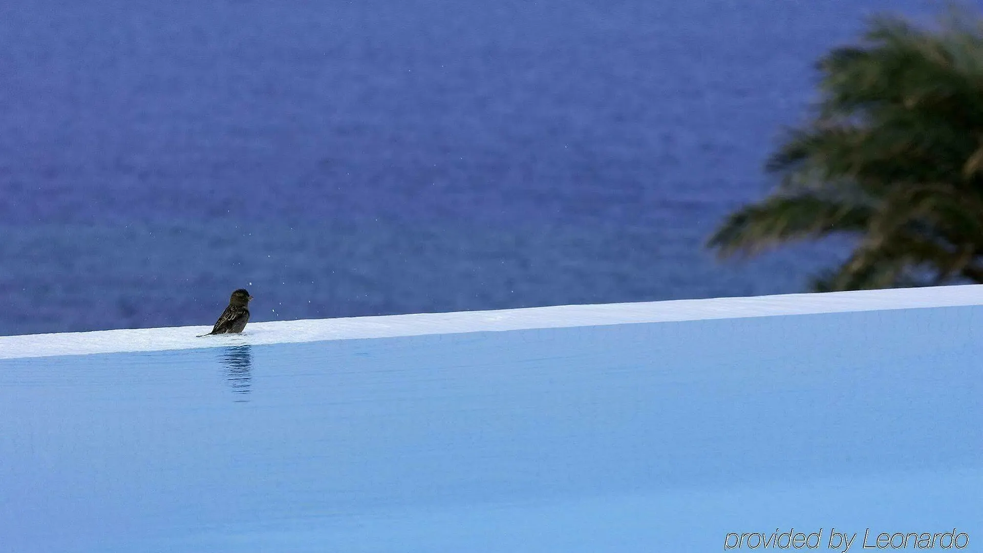 *****  Bill&Coo Mykonos-The Leading Hotels Of The World (Adults Only) Mykonos Town Greece